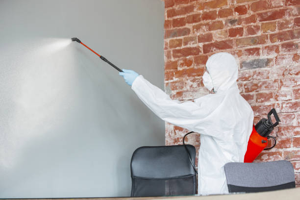 Best Air Quality Testing for Mold Spores  in Ponderay, ID