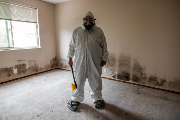 Best Residential Mold Inspection & Testing  in Ponderay, ID